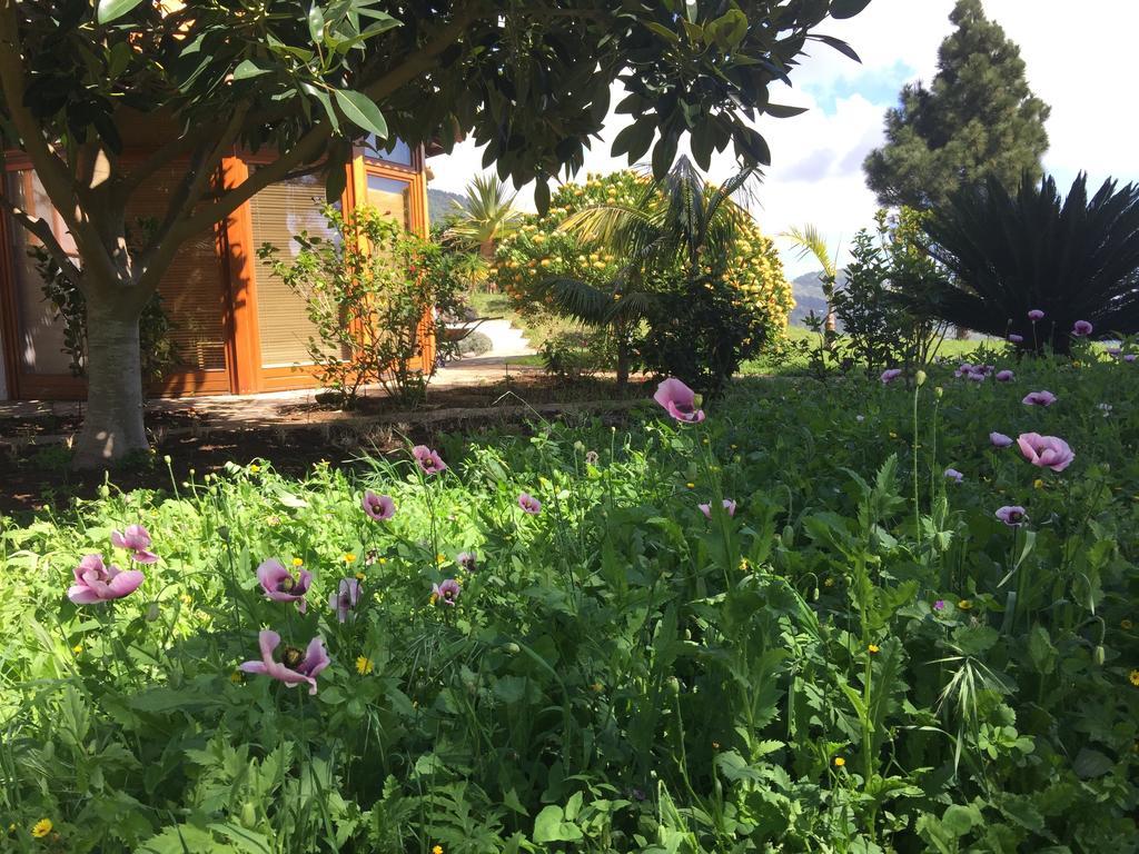 Finca Madrugada Santa Cruz de la Palma  Bagian luar foto